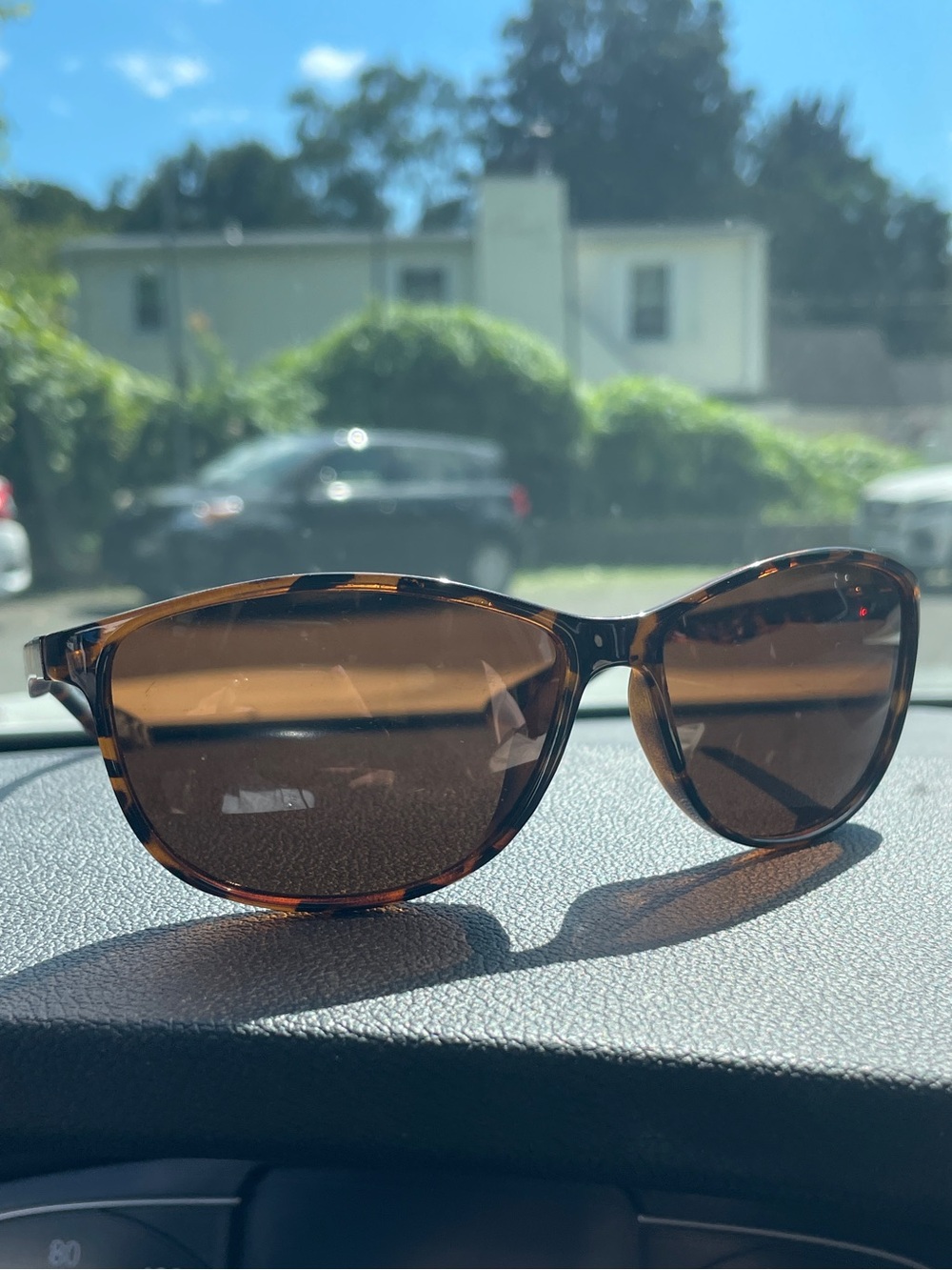 Panama Jack- Tortoiseshell Brown Women's Sunglasses - Classic Polarized Style